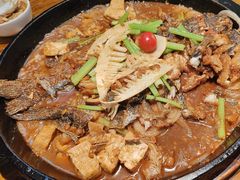 -老板恋上鱼(印象城店)