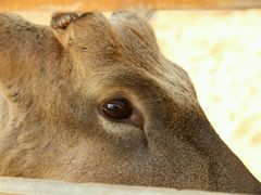 -赛汗塔拉风情园