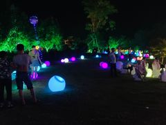 -枫林花海