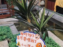 -惠中捞面