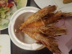 -黑松白鹿(金融街店)
