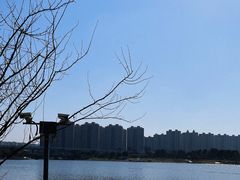 -映月湖中央公园