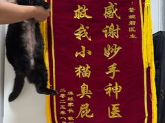 -美联众合动物医院·24h转诊中心