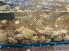 -深海聚汇·牛榴宴·自助料理(江宁万达店)