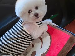 -全心全意连锁动物医院·特色中医诊疗(会城门分院)