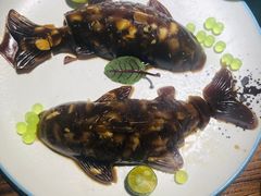 -山西会馆·晋菜·晋商宴·牌匾博物馆(胜利东街店)