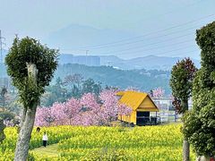 -刘伯温故里景区百丈漈