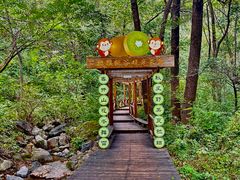 -大岭沟猕猴桃谷风景区