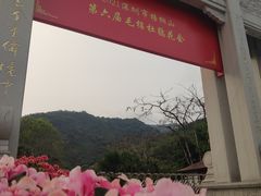 -梧桐山风景名胜区