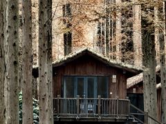 -黄海国家森林公园