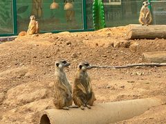 -秦皇岛野生动物园