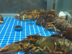 -宴小馆·小海鲜青岛菜(五四广场店)