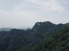 -六里坪国家森林公园
