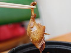 -百家春好德来姜母鸭