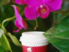 -COSTA COFFEE(金长安大厦店)