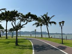 -野狸岛