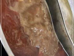 -新乡杨记红焖羊肉火锅(天坛南门店)