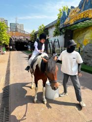 -宝燕乐园(闵行旗舰店)