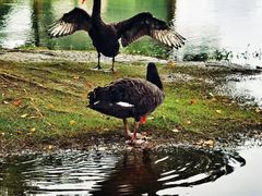 -西山漾湿地公园