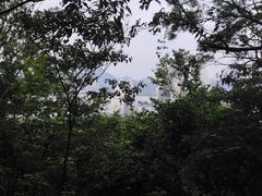 -野狸岛