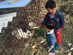 iphone_upload_pic-开心庄园