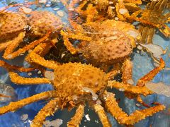 -必点海鲜·海肠捞饭大王(滨江道店)