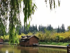 -金岛生态园烧烤露营地
