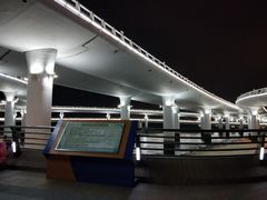 -演武大桥观景平台