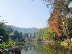-深圳仙湖植物园
