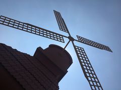 -杭州湾海上花田景区