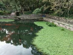 -普陀山风景名胜区-法雨禅寺