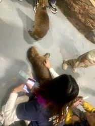 -Zoolung Zoolung动物主题公园(海信广场店)