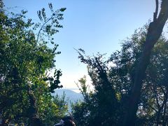 -灵岩山风景区