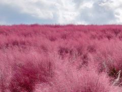 -昆嵛山石门里景区