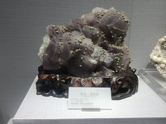 -湖南省地质博物馆