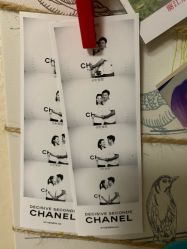 -Chanel