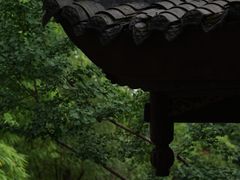 -黄龙溪古镇