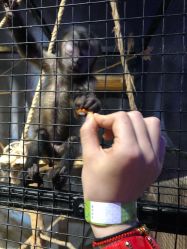 -酷嗒动物文化乐园(cutezoo西溪乐天城店)