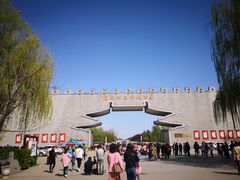 -洛阳市隋唐城遗址植物园