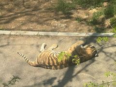 -大连森林动物园