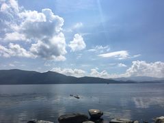 -才村湿地公园