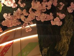景观位-礼舍·和牛火锅·烤肉·料理餐厅(华茂店)