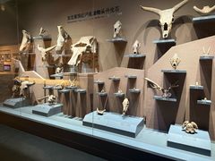 -大庆市博物馆