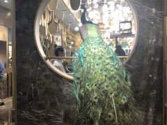 -雀蓝川菜(奥体广场店)