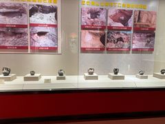 -迪庆藏族自治州博物馆