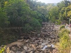 -广州白江湖森林公园