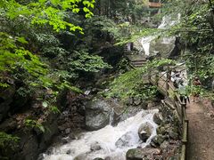 -藏龙百瀑风景区