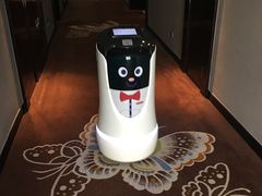 -常州环球恐龙城维景国际大酒店