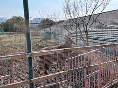 -宁波九龙湖开元度假村