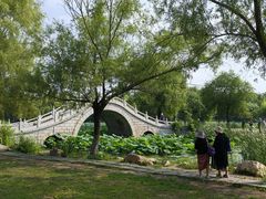 -长春市南湖公园